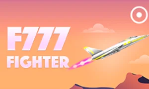 Fighter